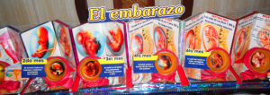 embarazo